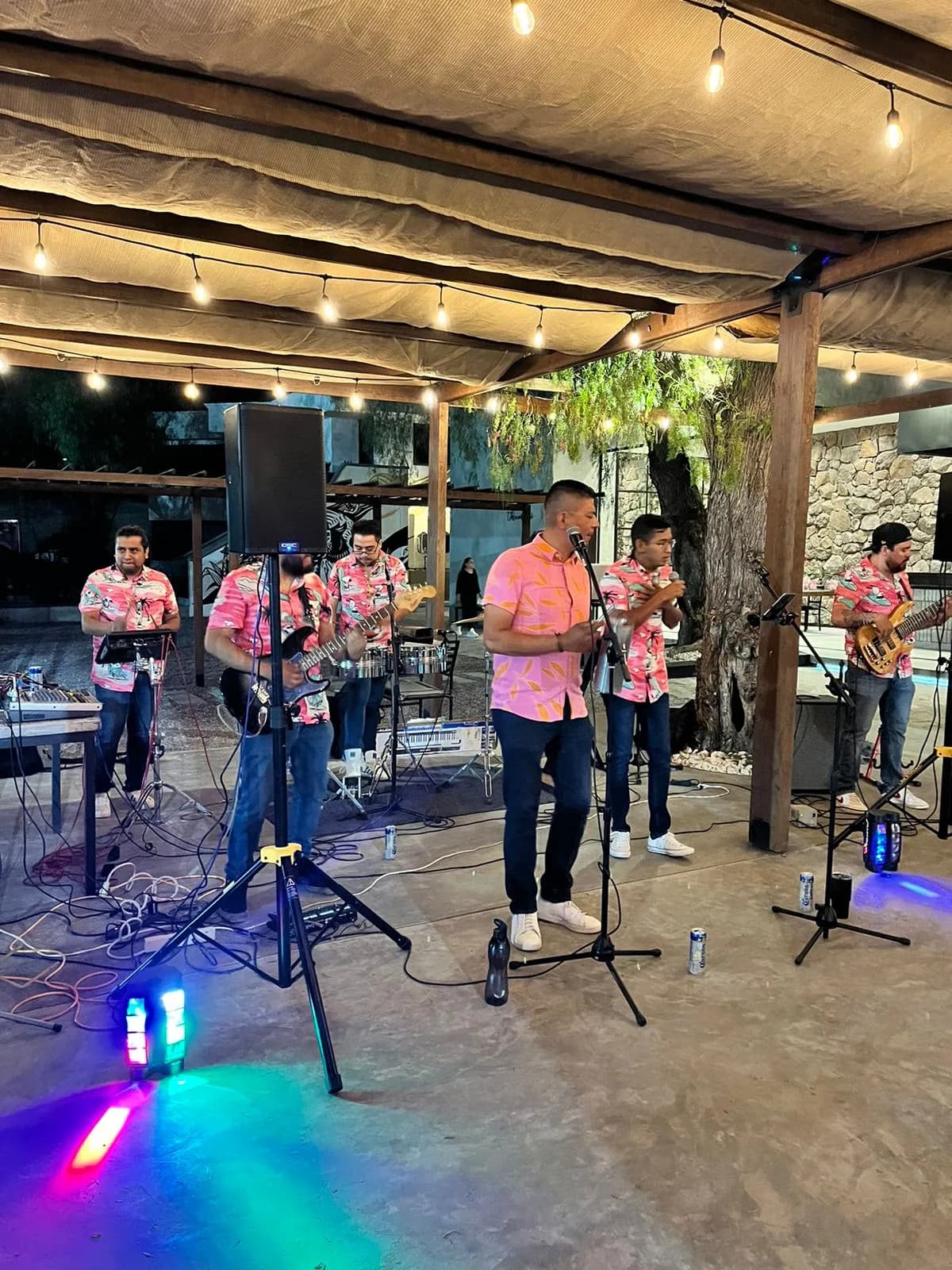 Música en vivo bajo la pérgola de Casilda por la noche